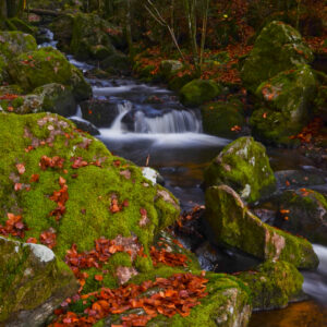Géobiologie-cascade